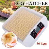 Автоматичен инкубатор за 56 яйца