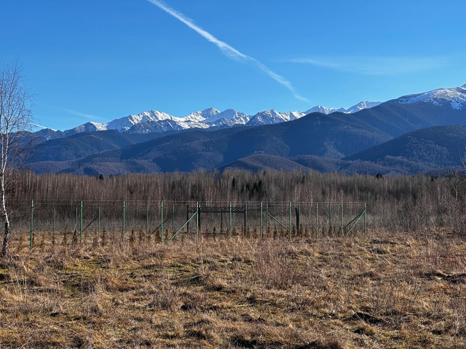 Teren cu panoramă superba Valea Avrigului 986 mp