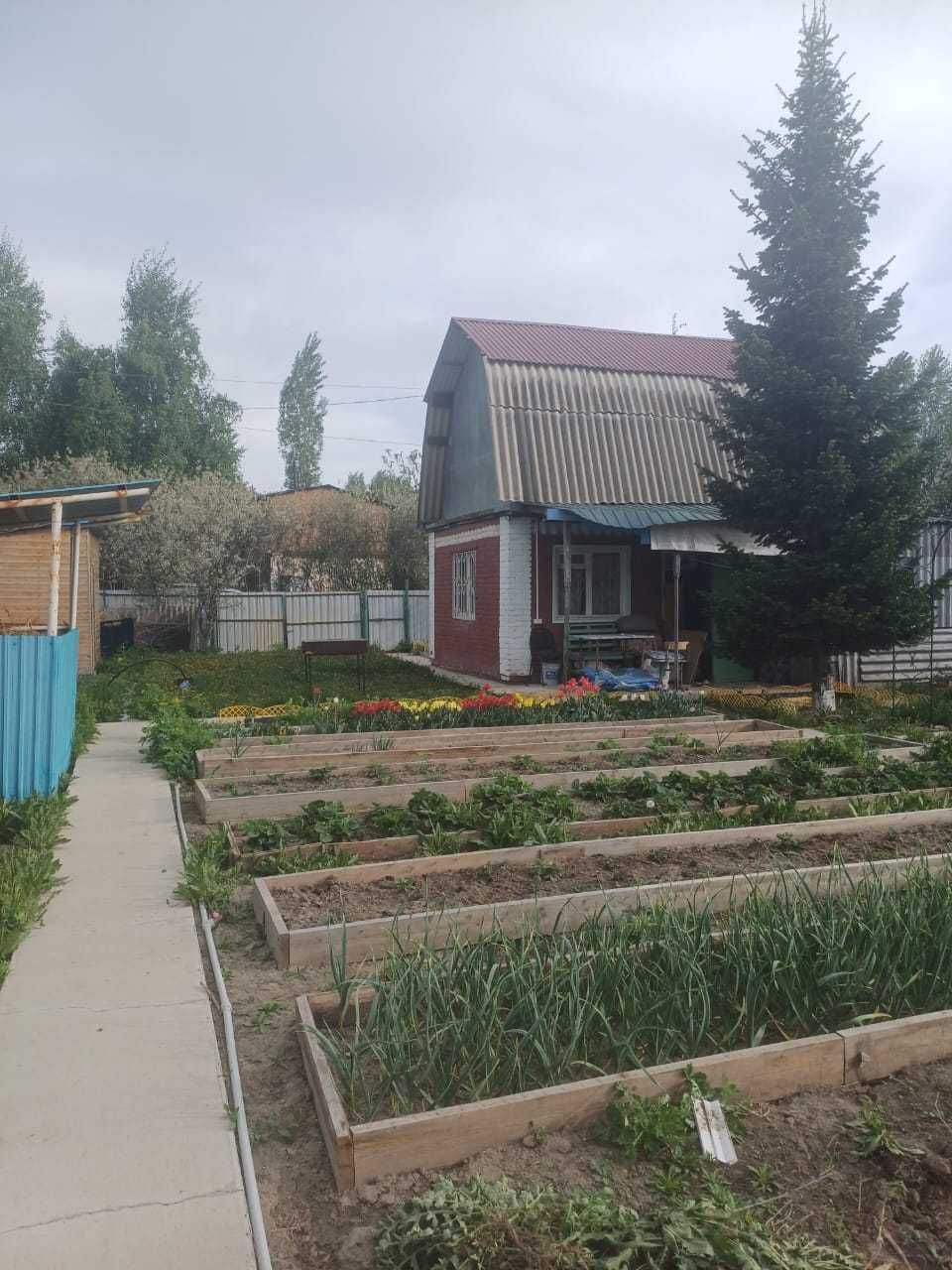 Дача 6 соток, с/т Дружба-1