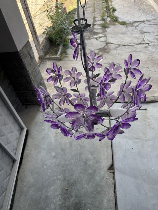 Полюлей и лампиони