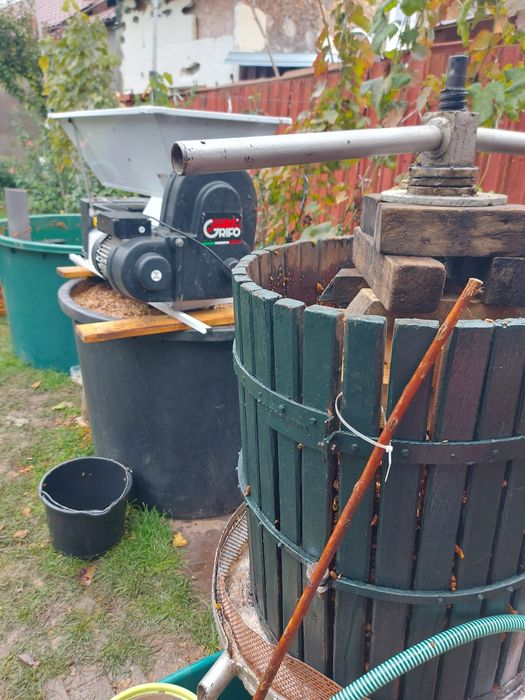 Must din struguri nobili zona Panciu