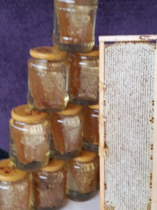faguri cu miere - miere in faguri en-gros si en-detail