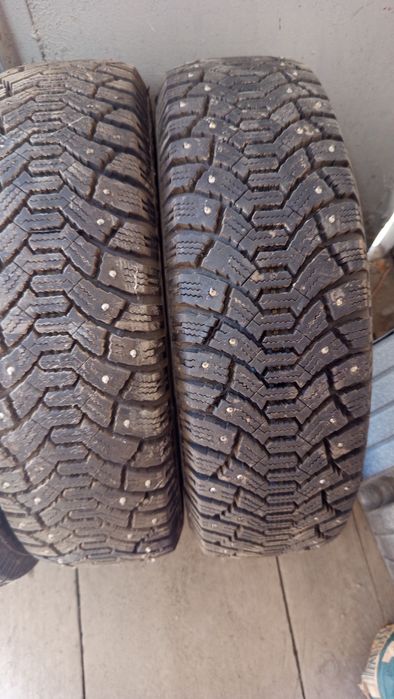 Шипованная зимняя резина