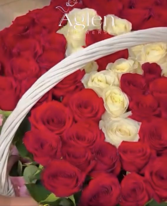 цветы красные и белые, 51 штук