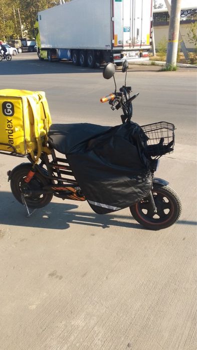 Drongo monster uchun chexol qolqop