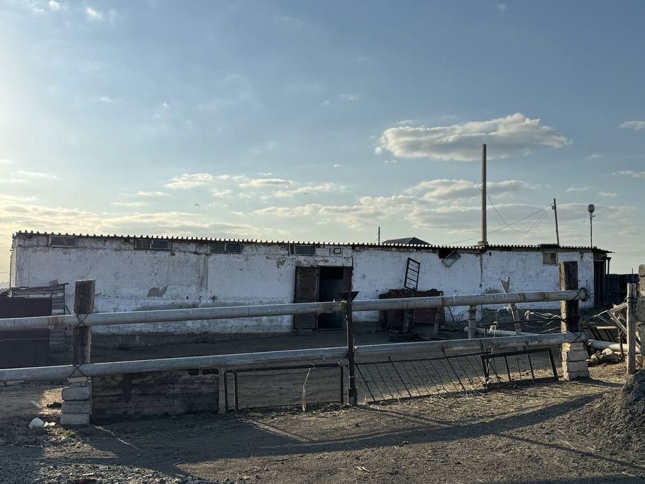Продается участок. Жер сатылды. Конюшнясы бар. Машинаға обмен бар