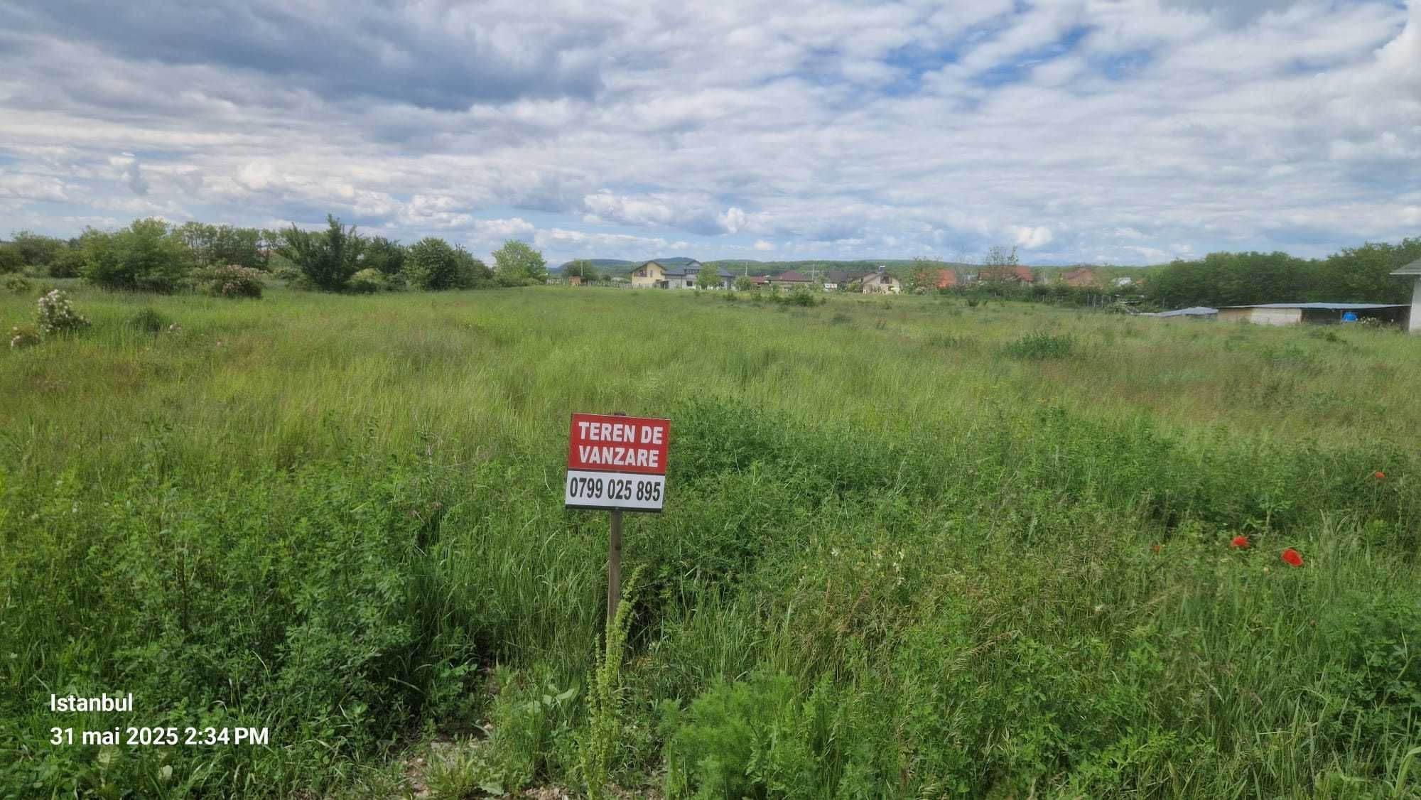 Teren intravilan în Dragomirești