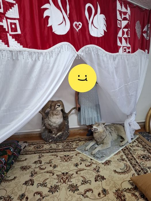 Келин тусируге арналган шымылдык.