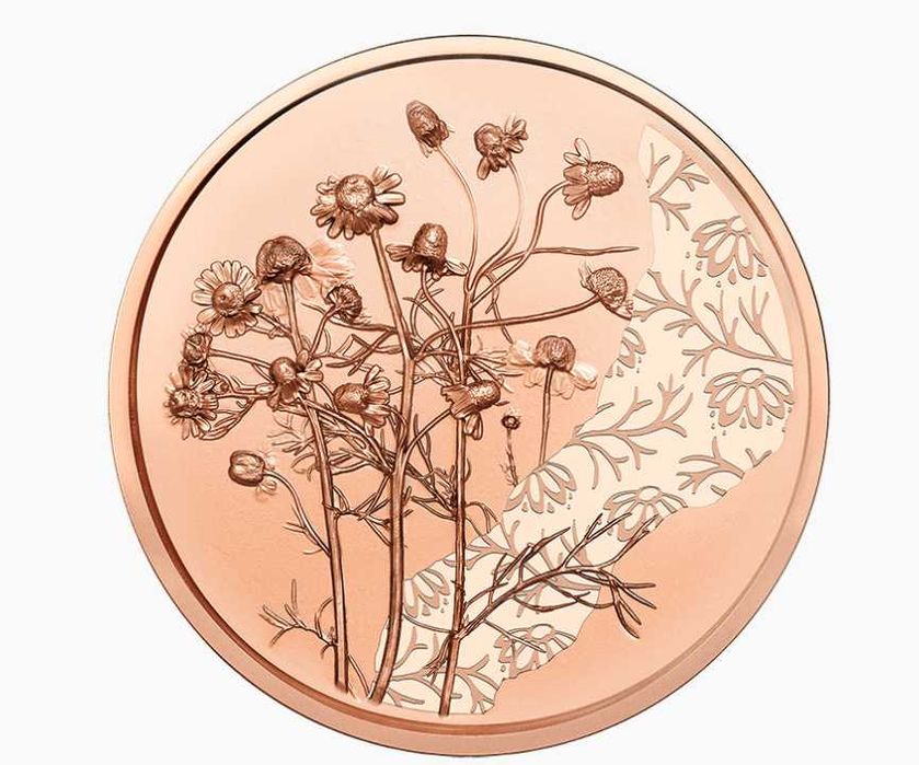 10 еврови медни монети