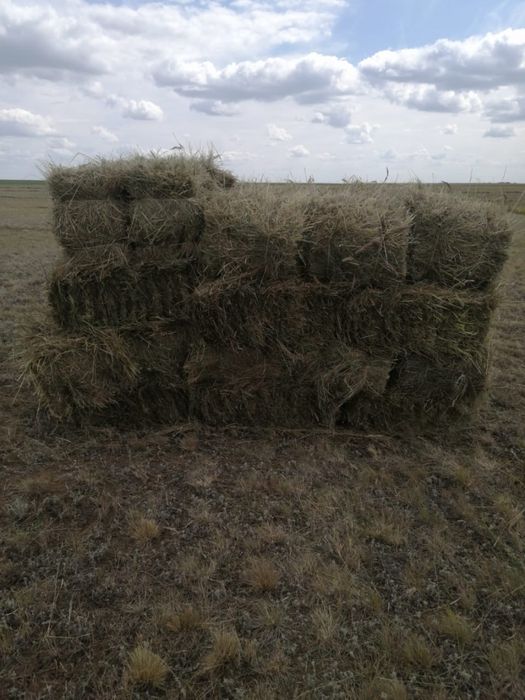 Продам сено тюковое
