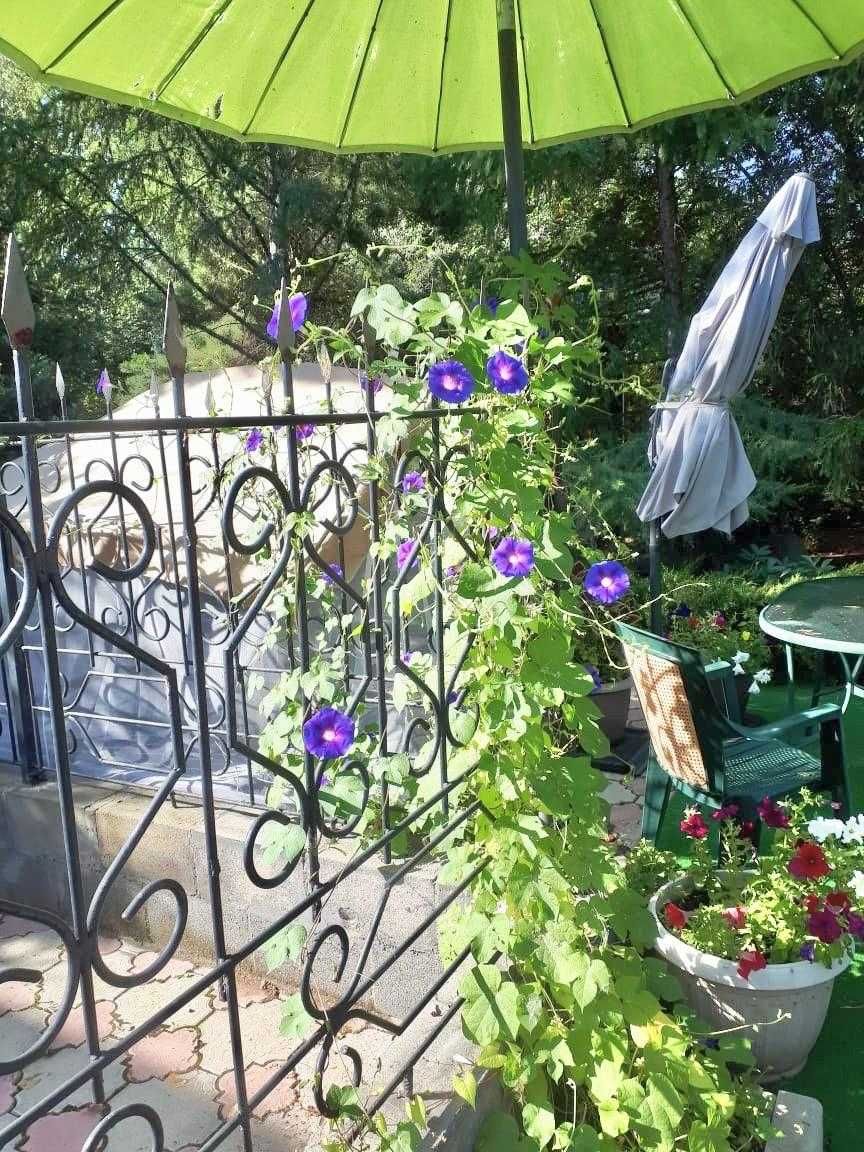 Усадьбу продам в парковой зоне!