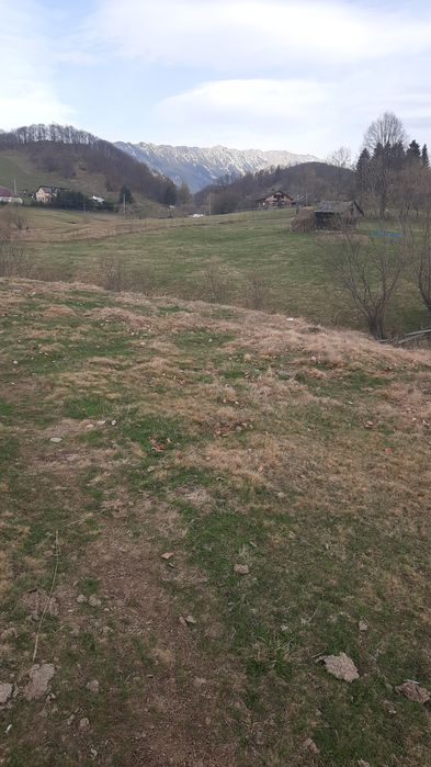 Teren la munte superb Ciocanu Dambovicioara