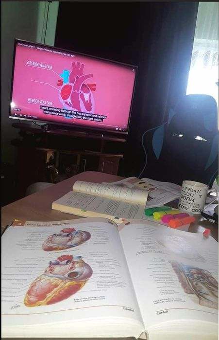 Meditatii Biologie Bacalaureat / Postliceala / Asistente