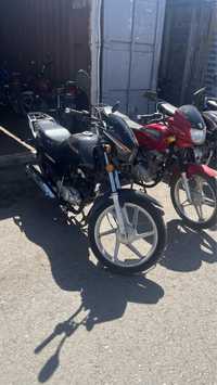 Yamaha,suzuki,honda