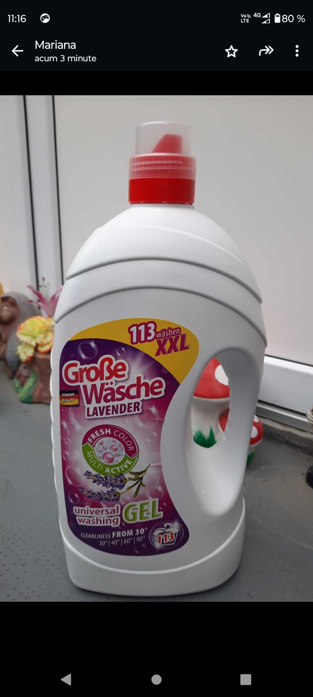 Detergent lichid preț mic mic 33 Ron