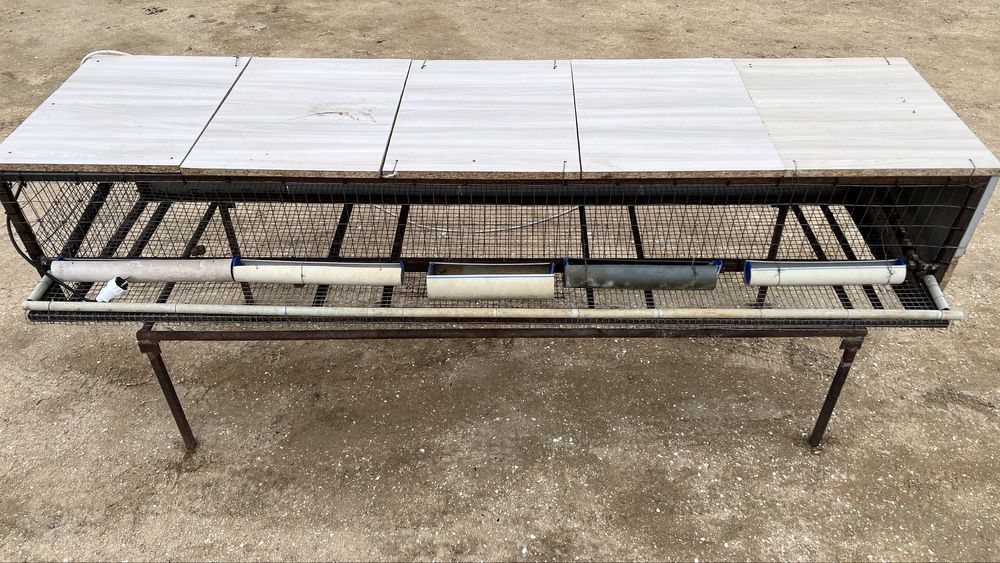 Бөдене қорасы сатылады