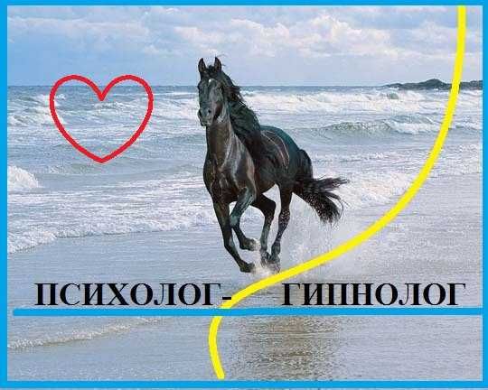 Психолог. Гипнолог. Консультации, гипноз. Бережно, профессионально.