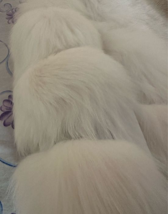 Blana naturala copii