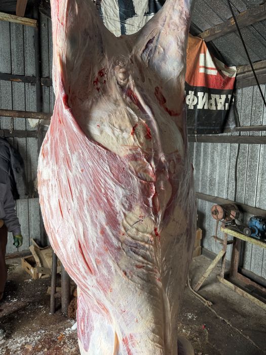 Мясо Говядины тушами