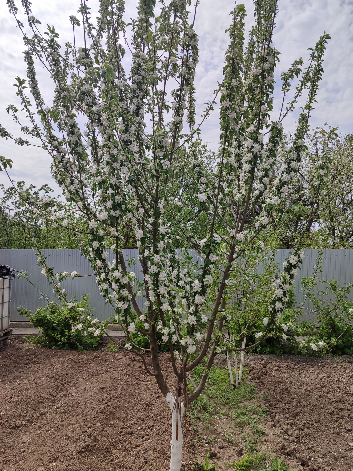 Продам дачу с домом С/о Химик