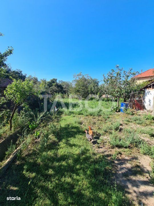 Casa cu spatiu comercial de vanzare in Sebes zona centrala