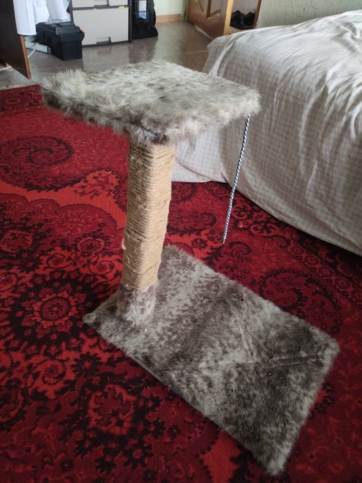 Продам когтеточку для кошки цена 4000тг.