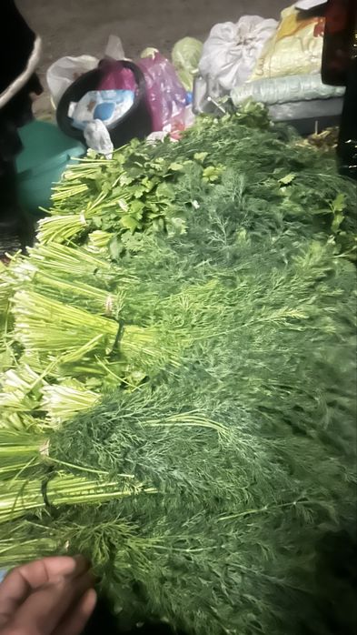 Kashnish Shibit optim narxga