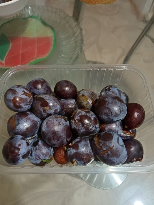Продам саженцы сливы.