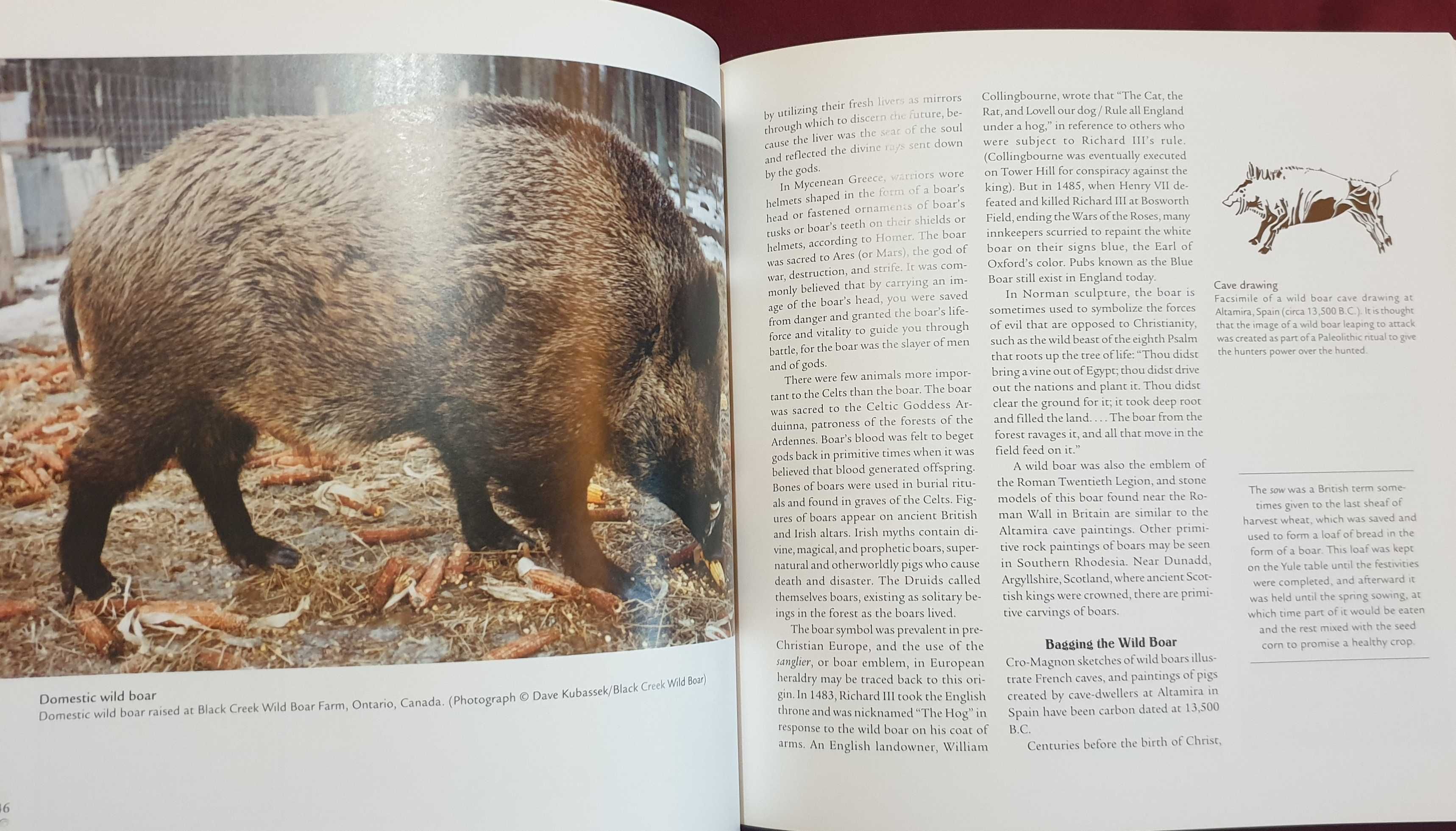 Илюстрирана история на прасетата / The Complete Pig