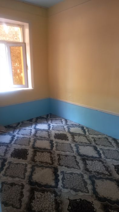 Аренда   сурхандарье шурчи