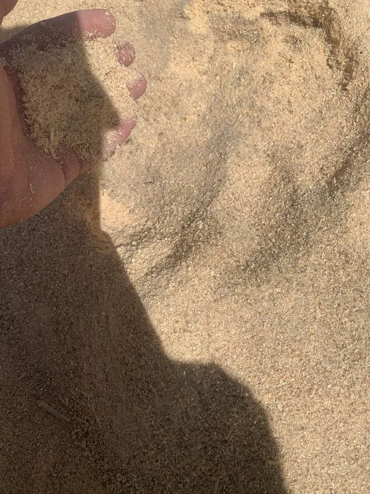 Опилки песчяные чистые