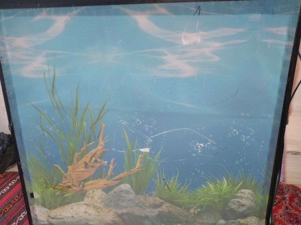 Akvarium sotiladi.