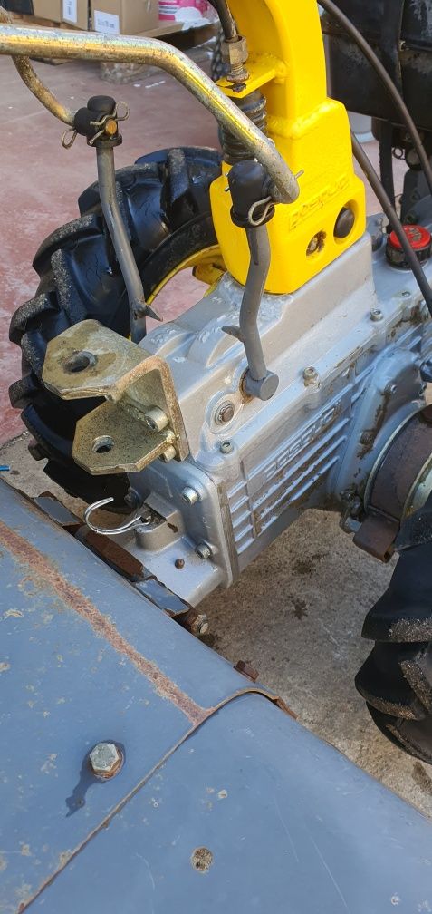 Motocultor Pasquali 11.5 ,diesel lombardini