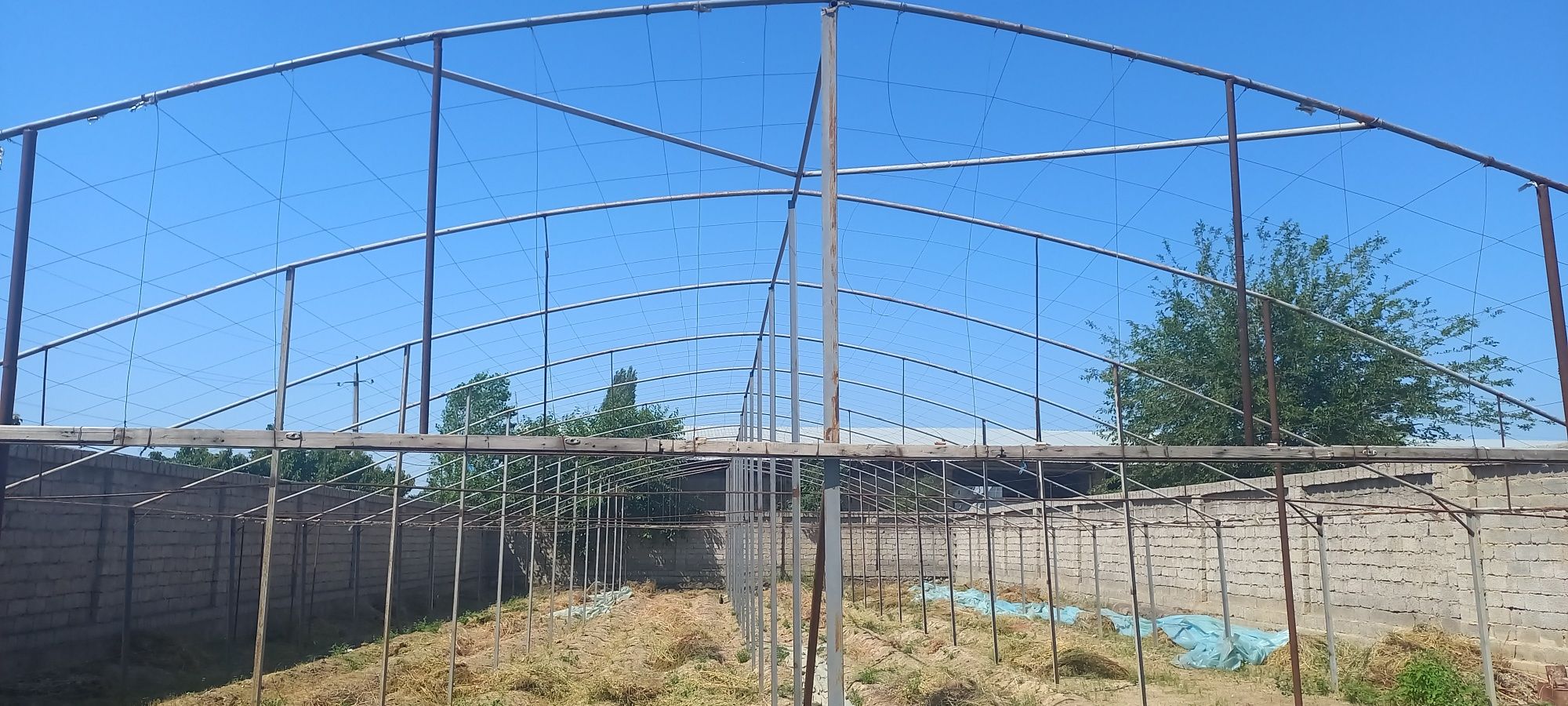 Parnik. Tiplitsa. issiq xona