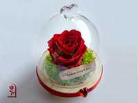 ЕСТЕСТВЕНА Вечна роза в стъкленица / Подарък за имен ден / Вечна Роза