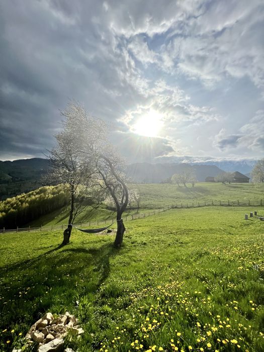 Teren in sat Pestera, Moieciu, 110.856 mp mix intravilan si extravilan