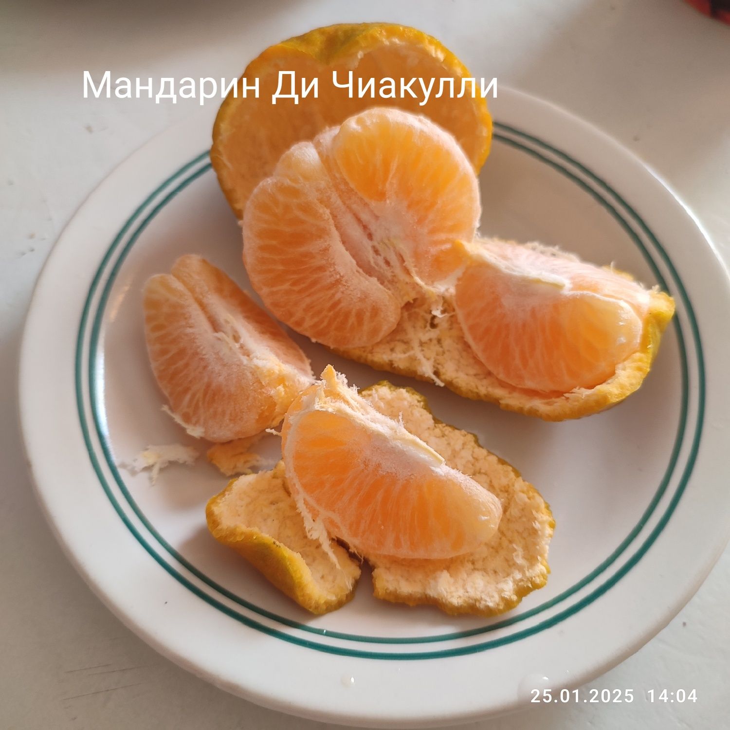 Апельсины, Мандарин, Лайм, Гранат