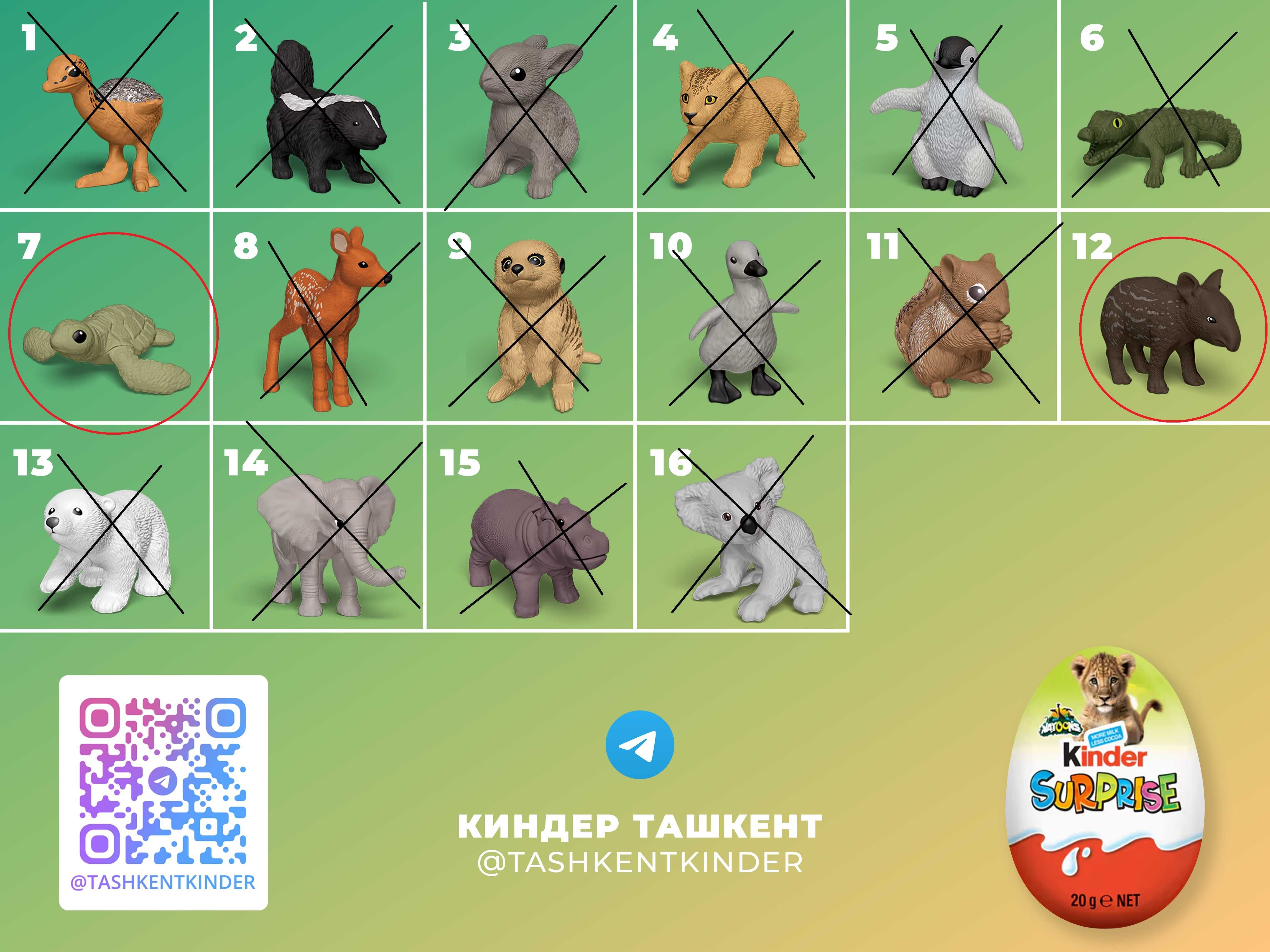kinder игрушки сборка из киндер сюрприз