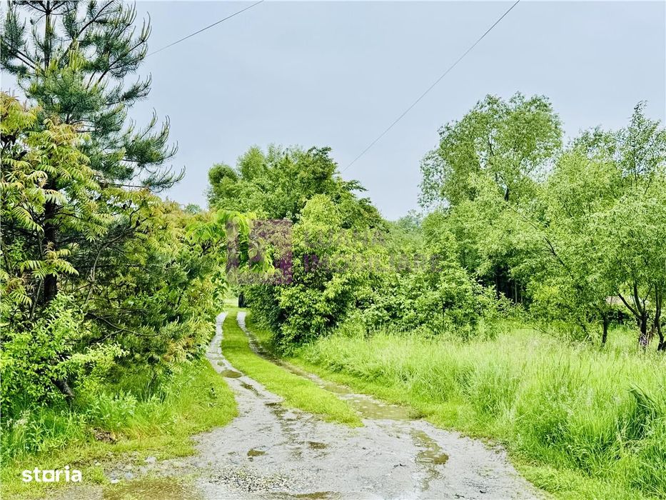 Teren intravilan 1600 mp | Valea Avrigului | zona turistica