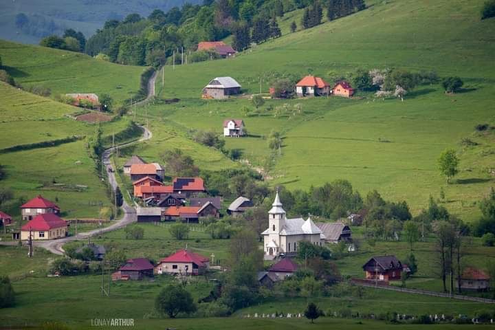 Vand Cabana la Munte