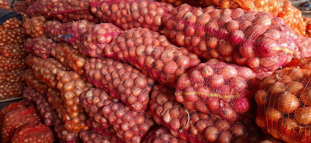 Varza si Ceapa angro!