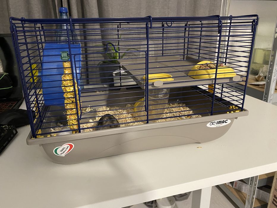 Cusca de hamsteri cu tot cu hamsteri