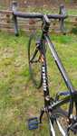 Cursieră Cinelli Xperience Columbus Equipe