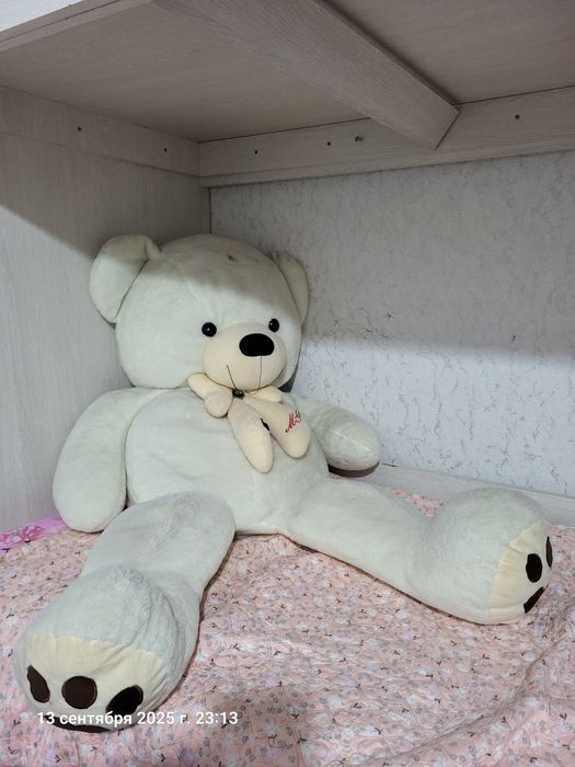 Дарю большую мишку