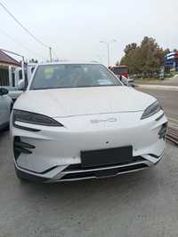 Byd song champion АКЦИЯ 2024 top