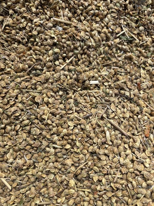 Sparceta productie 2025