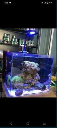 Аквариум светильник для марского аквариума.