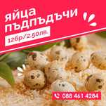 Продавам пресни пъдпъдъчи яйца - гр. Бургас