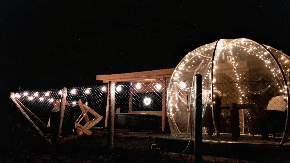 TIny House Colibita ( cabana de inchiriat cu jacuzzi)