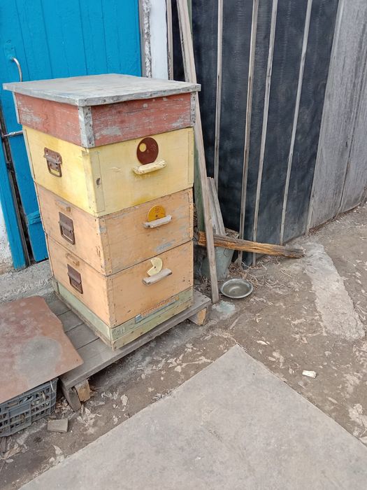 Улья 10 рамочные